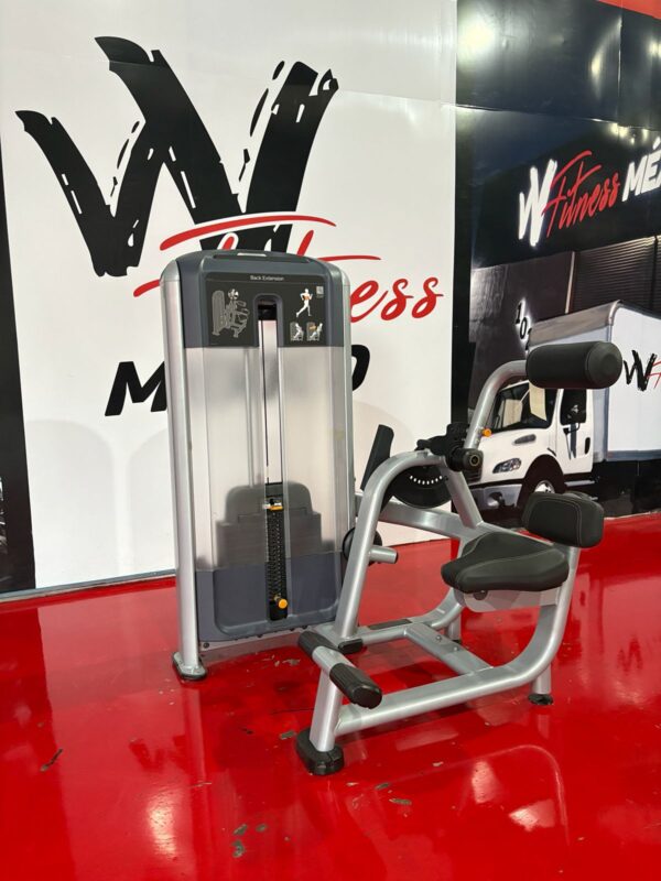 Precor Discovery Back Extension – WFitnessMexico